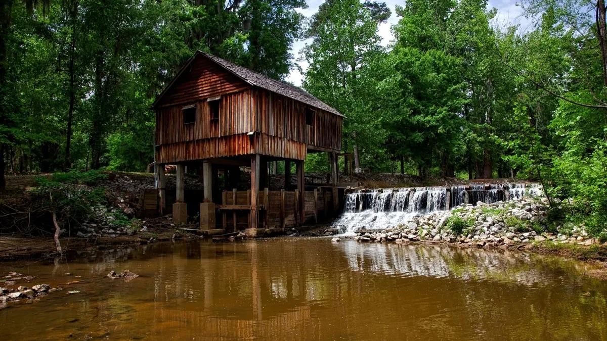 Alabama landscape