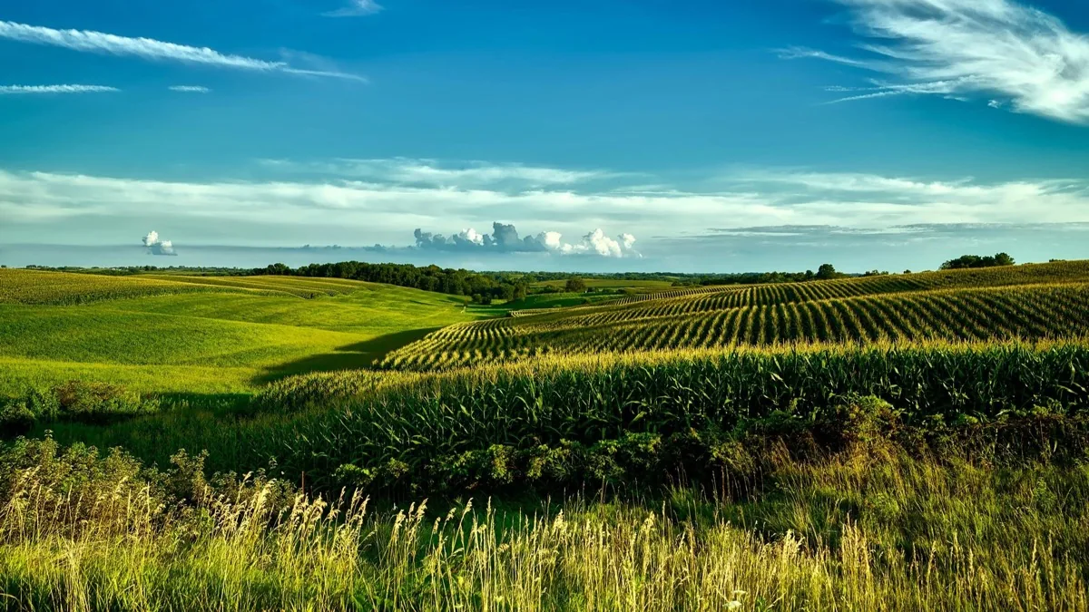 Iowa landscape